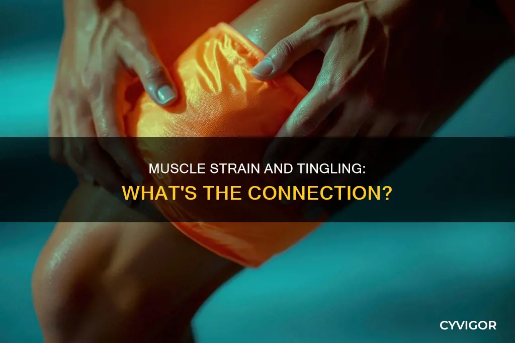 does muscle strain cause tingling