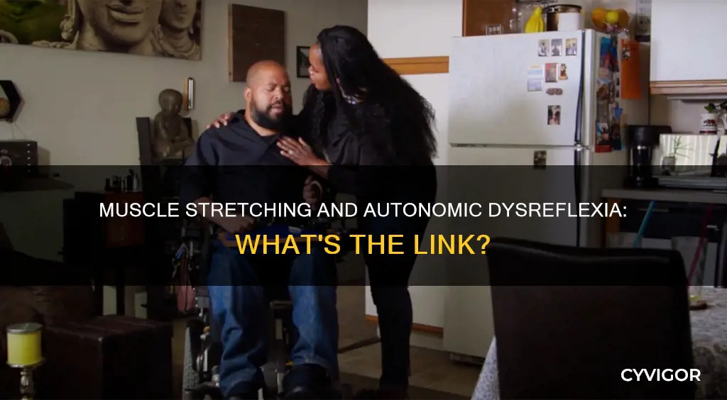 does muscle stretch cause autonomic dysreflexia