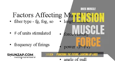 Muscle Tension and its Impact on Force Generation