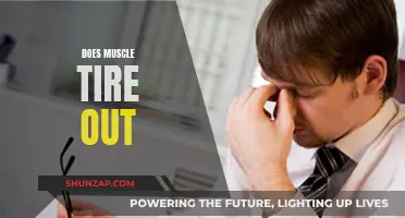 How Muscles Get Tired: Understanding Muscle Fatigue