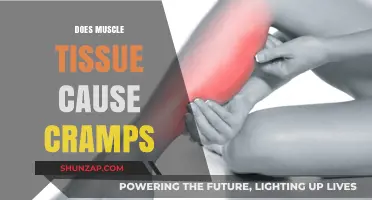 How Muscle Tissue Contributes to Cramps