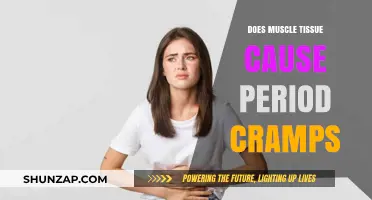 Muscle Tissue and Period Cramps: What's the Link?