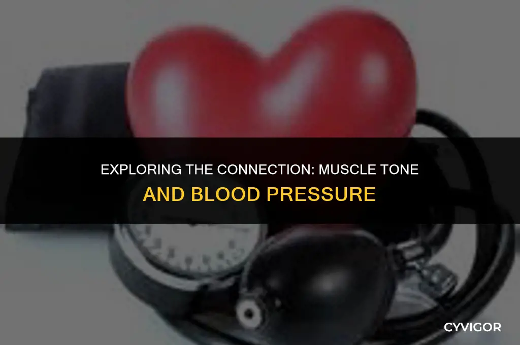 does muscle tone affect blood pressure