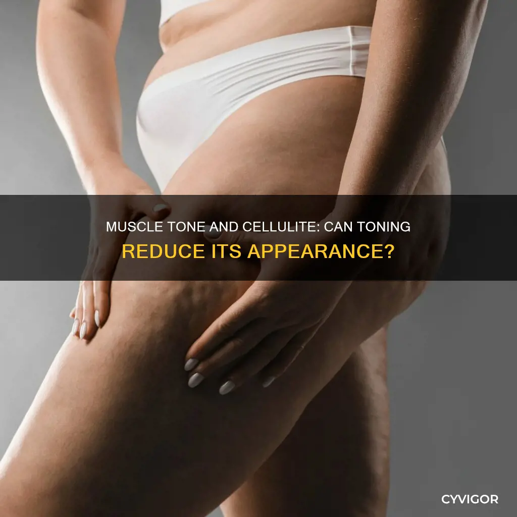 does muscle tone improve cellulite