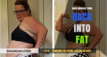 The Truth About Muscle and Fat: Can Muscle Turn Back into Fat?
