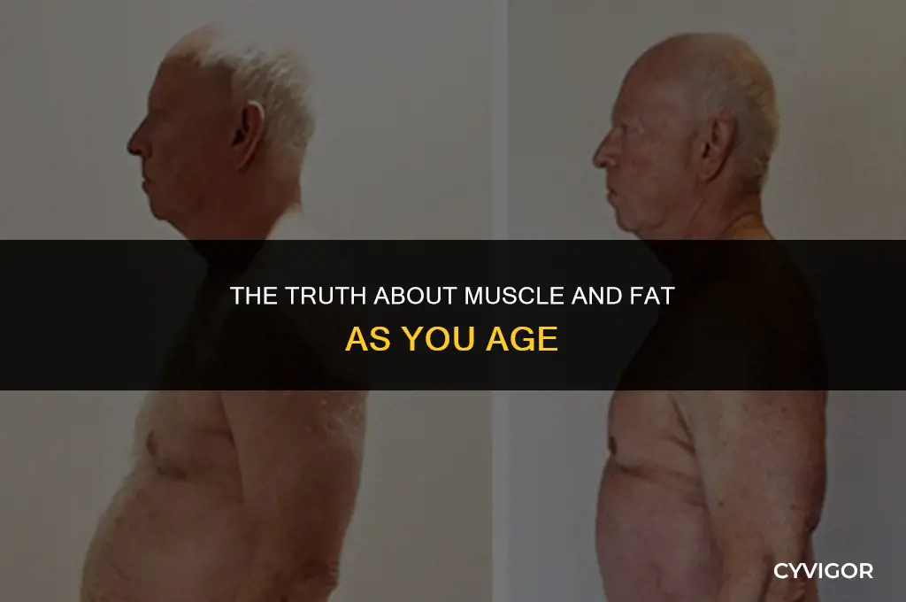 does muscle turn into fat when you get older