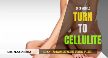 Muscle Myth: Cellulite Transformation and the Facts