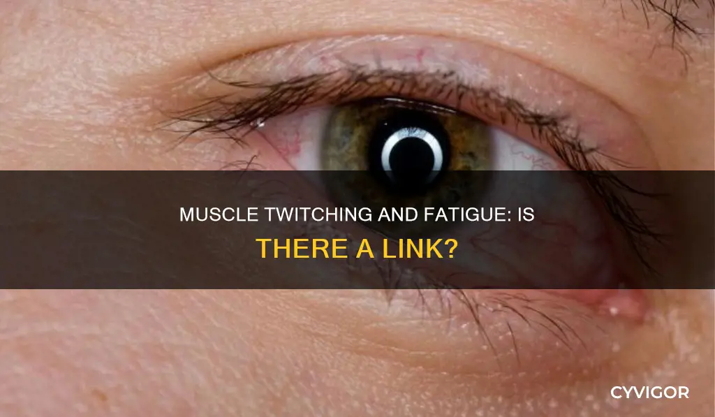 does muscle twitching cause fatigue