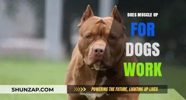 Does Muscle Up for Dogs Work? A Comprehensive Review