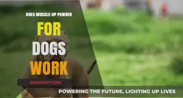 Does Muscle-Up Powder for Dogs Deliver Results? A Critical Review