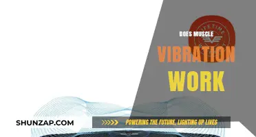 Does Muscle Vibration Work? Uncovering the Truth Behind the Trend