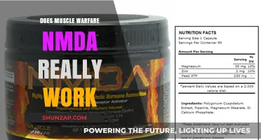 Does Muscle Warfare NMDA Deliver Results? A Critical Review