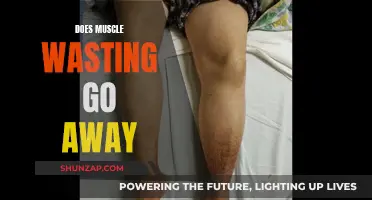 Muscle Wasting: Reversible Condition or Permanent Fixture?