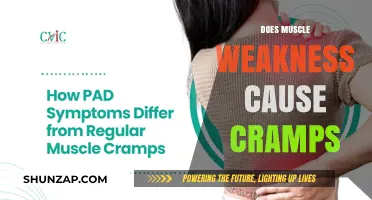 Muscle Weakness and Cramps: What's the Connection?