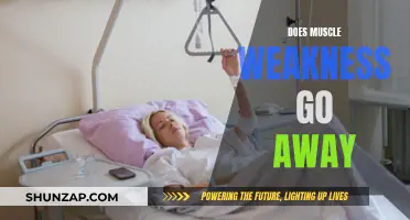 Muscle Weakness: Can It Be Reversed?