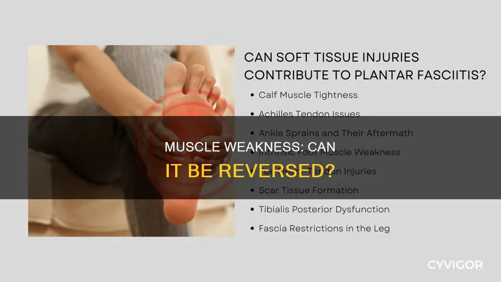 does muscle weakness go away