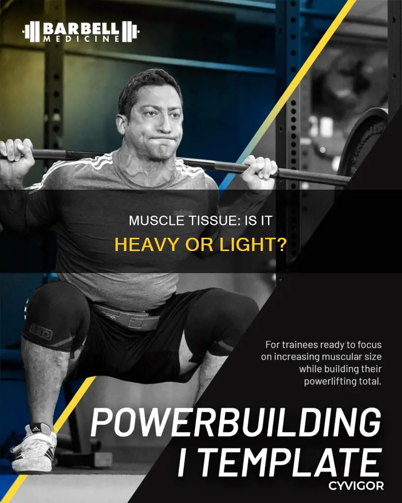 does muscle weight a lot