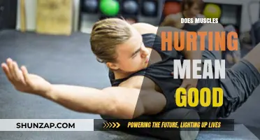 Muscle Soreness: Does Pain Indicate Progress in Your Workout?
