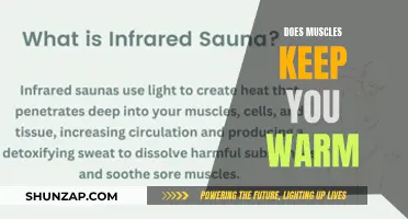 Muscle Tissue: Generating Warmth and Energy