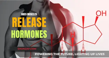 Muscle Movement: Hormone Secretion and You