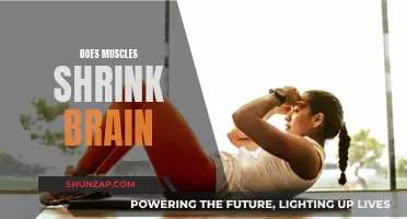 Muscle Power: Can it Shrink Your Brain?