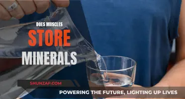 Muscle Tissue and Mineral Storage: What's the Connection?