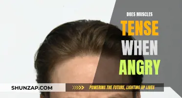 How Anger Physically Manifests in the Body