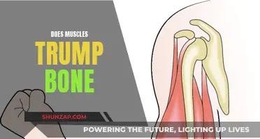 Muscle vs Bone: Who Wins?