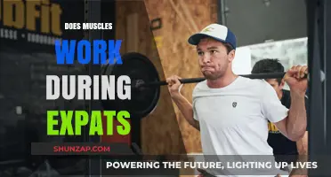 Muscle Function and Adaptation: Understanding Expat Physical Changes
