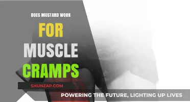 Mustard for Muscle Cramps: Fact or Fiction? Exploring the Remedy