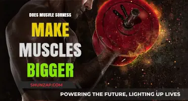 Does Muscle Soreness Actually Lead to Bigger, Stronger Muscles?