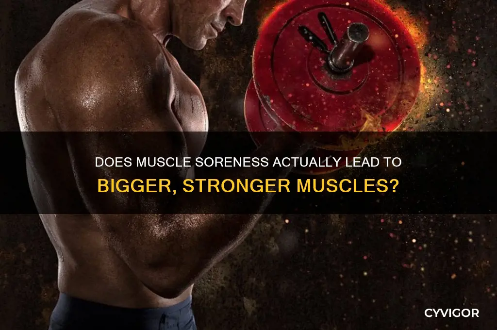 does musvle sorness make muscles bigger