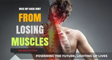 Back Pain and Muscle Loss: Understanding the Connection