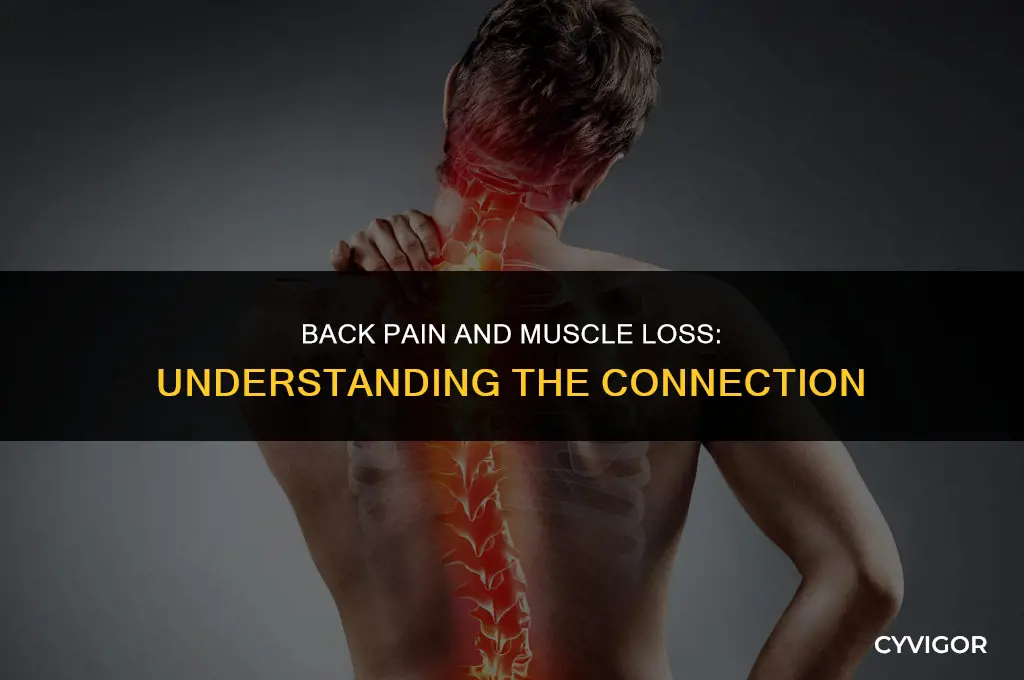 does my back hurt from losing muscles