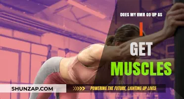 Muscle Gain and BMR: Understanding the Metabolic Connection