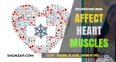 Exploring the Impact of Myasthenia Gravis on Cardiac Muscles