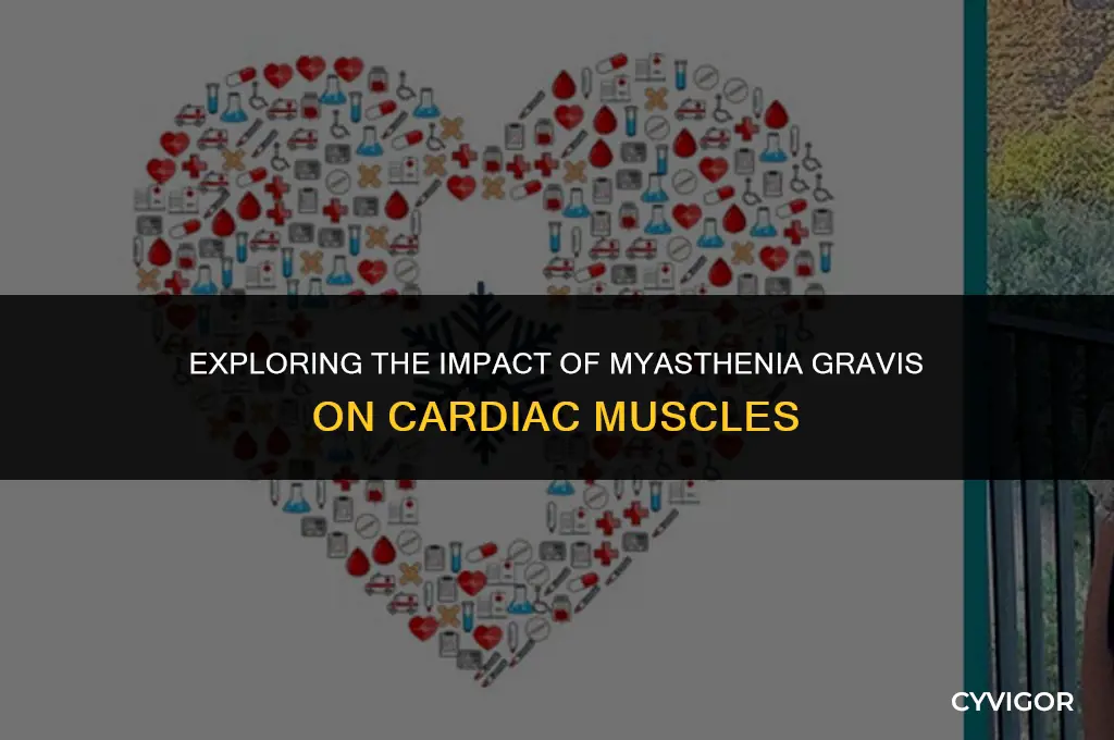 does myastheni gravis affect heart muscles