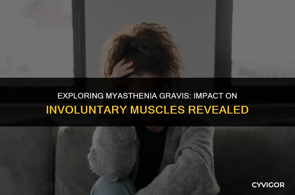 does myasthenia gravis affect involuntary muscles