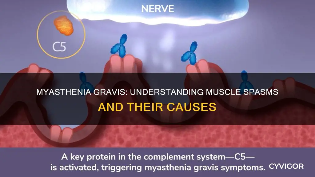 does myasthenia gravis cause muscle spasms