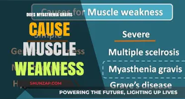 Understanding Myasthenia Gravis and Its Impact on Muscles