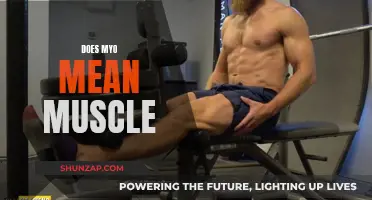 Myo and Muscle: What's the Connection?