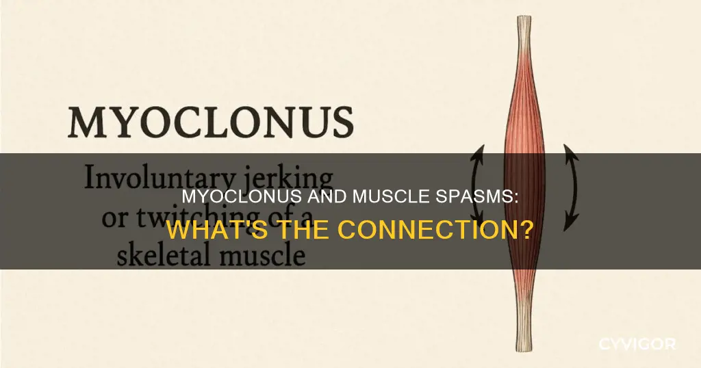 does myoclonus cause muscle spasms