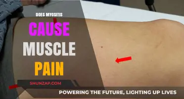 Myositis and Muscle Pain: What's the Link?