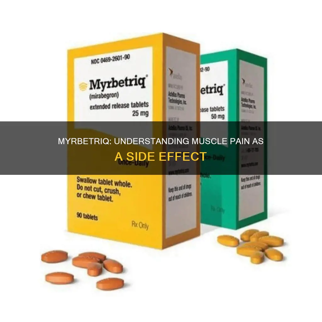 does myrbetriq cause muscle pain