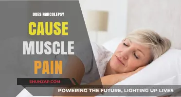Narcolepsy and Muscle Pain: Is There a Link?