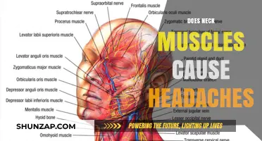 Neck Muscle Tension: A Cause of Headaches?
