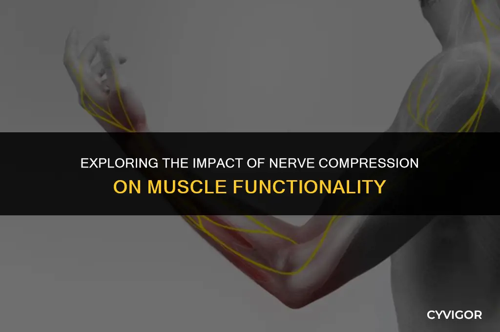 does nerve compression affect muscle function