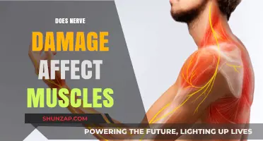 Exploring the Impact of Nerve Damage on Muscle Function and Health