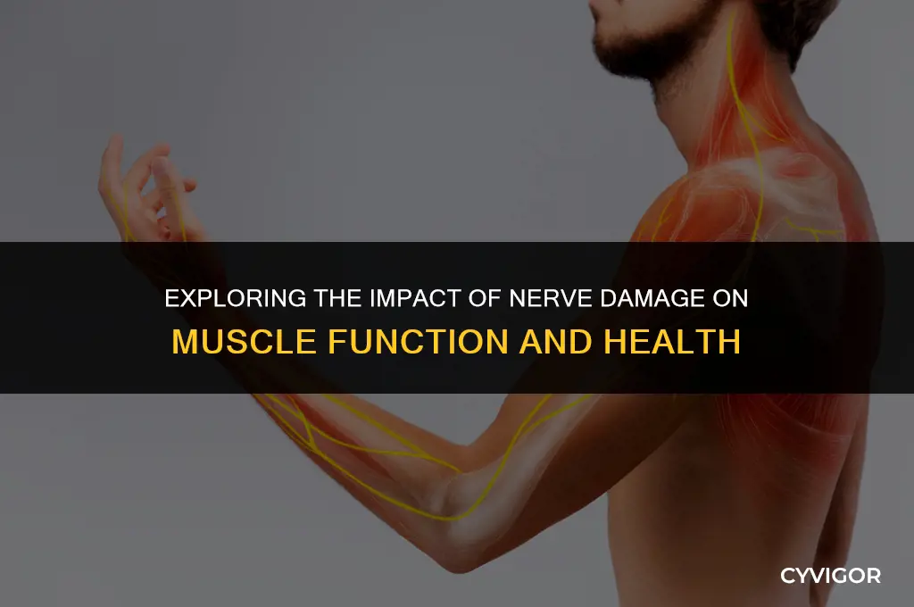 does nerve damage affect muscles