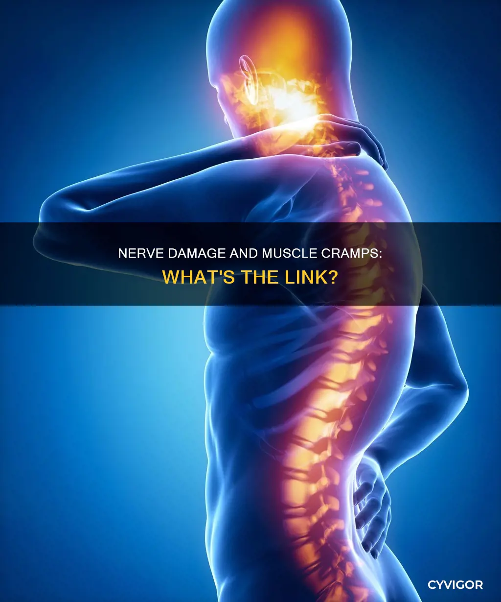 does nerve damage cause muscle cramps